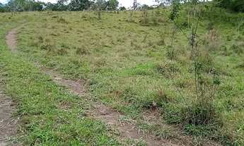 Imagem 4: Lotes em Santa Isabel com preço imperdivel!