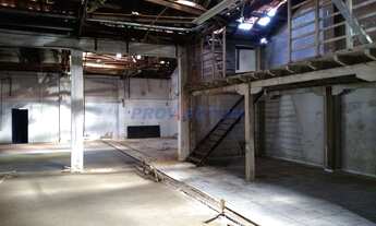 Imagem 7: Galpão - Vila Nova - Campinas