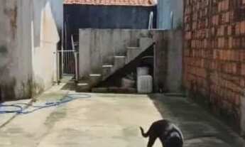 Imagem 2: Casa Nova Terra Casa com 2 dormitórios