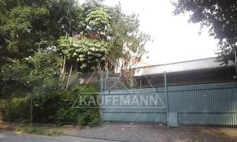 Imagem 2: Alto de Pinheiros