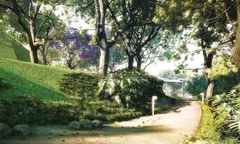 Imagem 2: FLORIANóPOLIS - Conjunto Comercial/Sala - Saco Grande