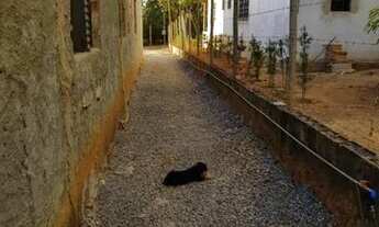 Imagem: Lote 1.500m², plano a 10minutos do posto