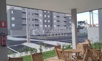 Imagem 7: Apartamento - Jardim Novo Horizonte - Valinhos