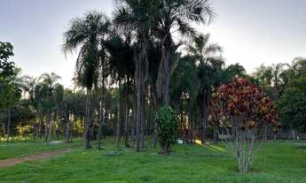 Imagem 6: Chácara em Hidrolândia-Go