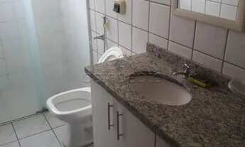 Imagem 6: Apartamento Padrão em São José do Rio Preto