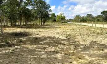 Imagem 3: ? ÁREA COM 5.000 MIL METROS QUADRADOS - ESQUINA, AVENIDA PRINCIPAL JÁ CERCADA!