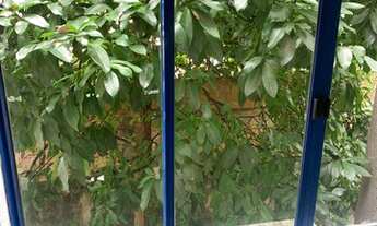 Imagem 4: APARTAMENTO COM 2 QUARTOS E VAGA DE GARAGEM