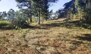 Imagem 7: VENDO TERRENO * LOCAL LINDO