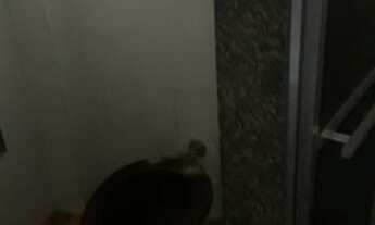 Imagem 6: Ótima casa de 2 Quartos no Barro Vermelho, Sg