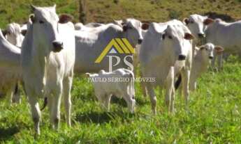 Imagem 2: Fazenda com 17,5 Alqueires Mineiros pronta em Rio Bonito - Venha conferir!