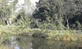 Imagem 3: Casa em Morro Grande