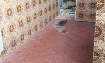 Imagem 2: Ótima casa de 2 Quartos no Barro Vermelho, Sg