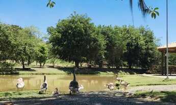 Imagem 3: Jacarei - Loteamento/Condomínio - Sao Silvestre de Jacarei