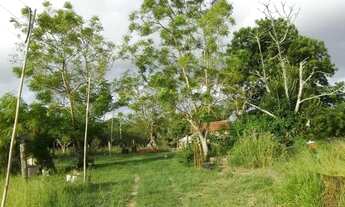 Imagem 3: Area para Venda - 0m², 0 dormitórios, Itapuã