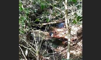 Imagem 7: Chácara 44.000M² Região Taquaruçu Grande