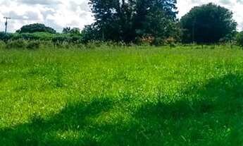 Imagem 4: Chácara 30.000 metros José Bonifácio