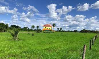 Imagem 6: Fazenda para Venda em Paraíso do Tocantins, Área Rural