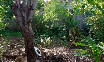 Imagem 4: Vende-se casa Casa com 2 dormitórios