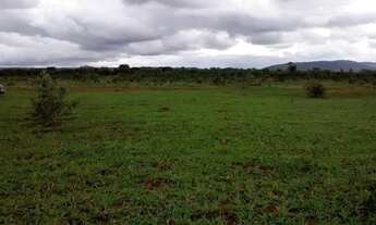 Imagem 4: Fazenda 50 hectares