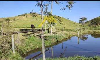 Imagem 5: Fazenda com 17,5 Alqueires Mineiros pronta em Rio Bonito - Venha conferir!