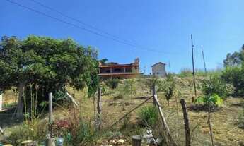 Imagem 7: Sitio 2500 m², plano, agua, área de jogos, poço de peixes, arvores frutíferas