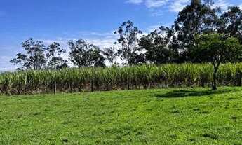 Imagem 6: Campo para pecuária em Taquara RS