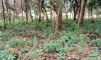 Imagem 6: 4 Chácaras juntas de 600 metros quadrados, 15m de frete e 40m de fundo, cada lote