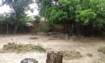 Imagem 5: Vendo Sítio no Parque Jair