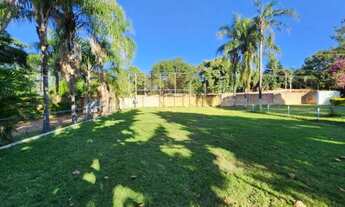 Imagem 7: Chácara Flora - 4.000 m²