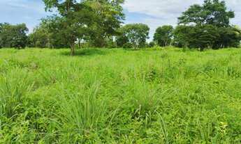 Imagem: Vendo fazenda de 17.5 Alqueires em Padre