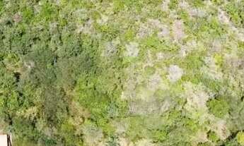 Imagem 2: Terreno a venda na Chapada Diamantina - Município de Lençóis 23 hectares