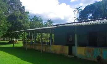 Imagem 3: Sítio/Terreno/AM 240/Estrada de Balbina, KM 28/48 Hectares