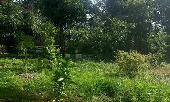 Imagem 4: Sítio no SAN remo