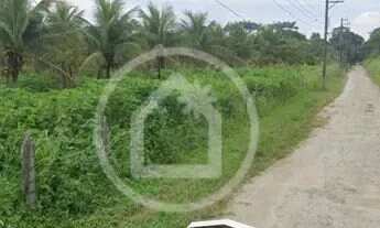 Imagem 6: Terreno Residencial - Santa Cruz