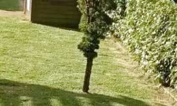 Imagem: Apartamento no Condomínio Castelo de Luxemburgo