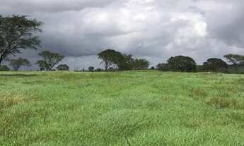 Imagem 6: Terreno a venda Terreno / lote com venda por R$1.000.000