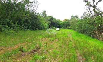 Imagem 6: Terreno total de 20x150m, em Nova Santa Rita