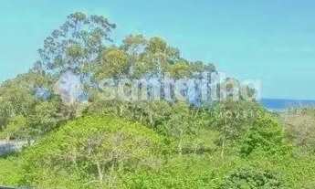 Imagem 6: Apartamento com 3 dormitórios à venda, 102m² - Campeche - Florianópolis/SC