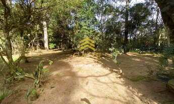 Imagem 3: Imóvel para venda tem 10000 metros quadrados com 1 quarto em Águas Claras - Viamão - RS