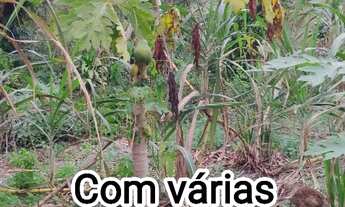 Imagem 5: 1 CASA COM 2 TERRENOS, 75 MIL, PQ. PARANHOS, PIABETÁ