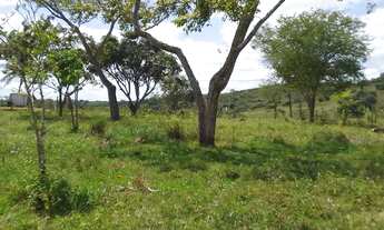 Imagem 5: Fazenda Fazenda / sítio com venda por R$15.000