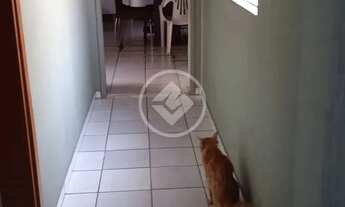 Imagem 7: Venda ou Locação - Casa no CPA II, 3 quartos, sendo 1 suíte, cozinha ampla, espaço para 5