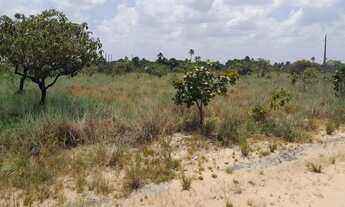 Imagem 3: Vendo terreno de chácara