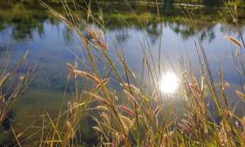 Imagem 3: Loteamento reserva do bosque s/ spc e serasa pronto p/ contruir a partir de 449,00 mensais