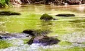 Imagem 5: Chacrinha 2 mil m2 com piscina em Joanópolis SP