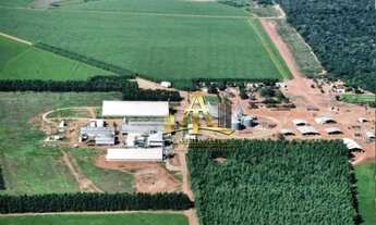 Imagem 3: Fazenda à Venda - Nova Mutum/MT