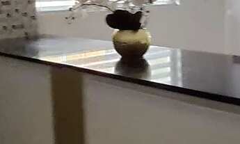 Imagem 5: Vende se no sólidade 2