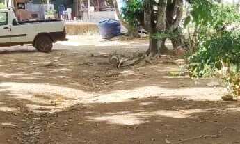 Imagem 5: Vendo ótima chácara no núcleo rural cariru no Paranoá DF