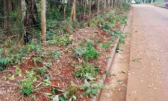 Imagem 2: 4 Chácaras juntas de 600 metros quadrados, 15m de frete e 40m de fundo, cada lote