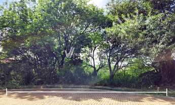 Imagem 7: Terreno - Chácara Santa Margarida - Campinas